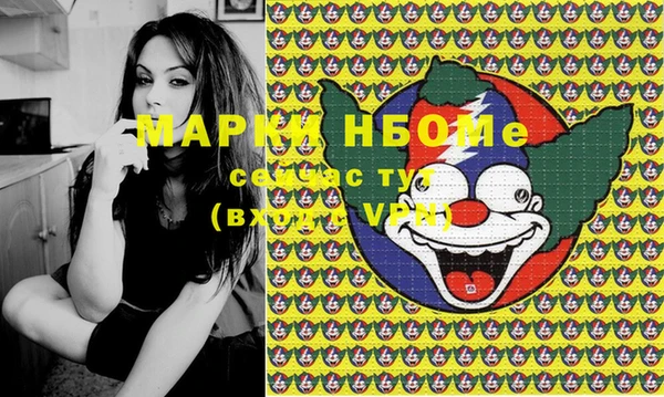 мдпв Пестово