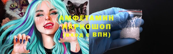 мдпв Пестово