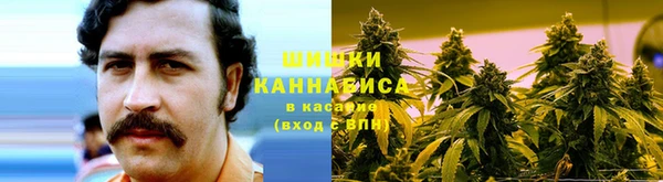 mix Богородицк