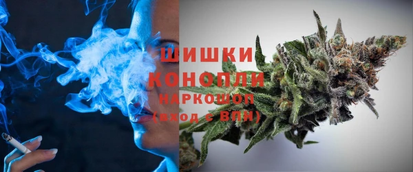 мдпв Пестово